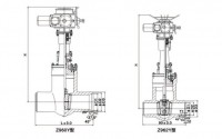 Z960Y/Z962Y型高温高压电站闸阀